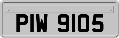 PIW9105