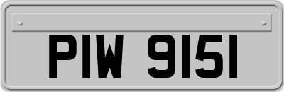PIW9151