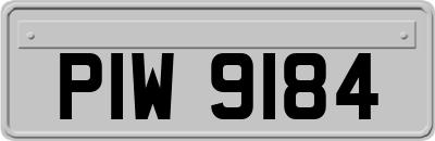 PIW9184