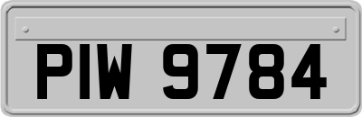 PIW9784