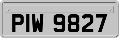 PIW9827
