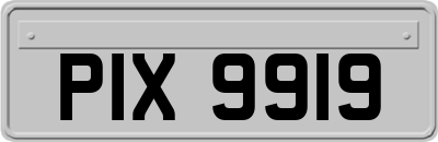 PIX9919