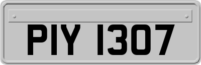 PIY1307