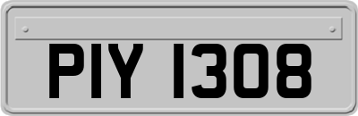 PIY1308