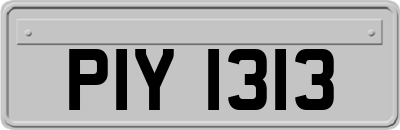 PIY1313