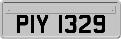 PIY1329