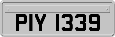 PIY1339