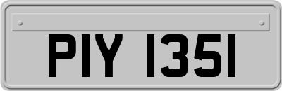 PIY1351