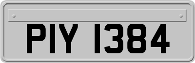 PIY1384