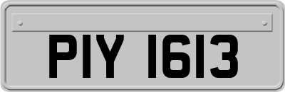 PIY1613