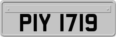 PIY1719