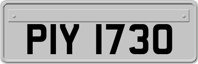 PIY1730