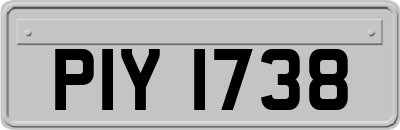 PIY1738