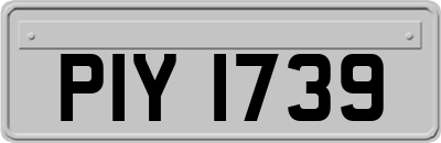 PIY1739