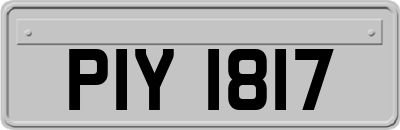 PIY1817