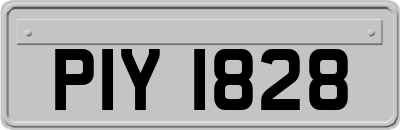 PIY1828