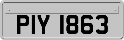 PIY1863