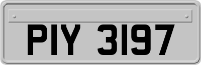 PIY3197