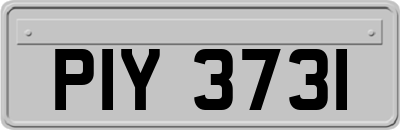 PIY3731