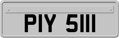 PIY5111