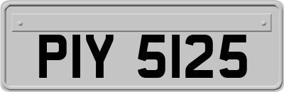 PIY5125