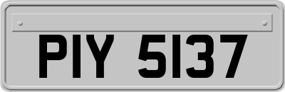 PIY5137