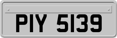 PIY5139