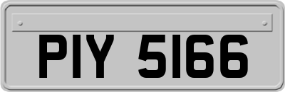 PIY5166