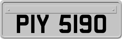 PIY5190