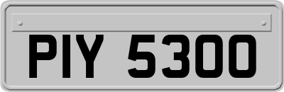 PIY5300