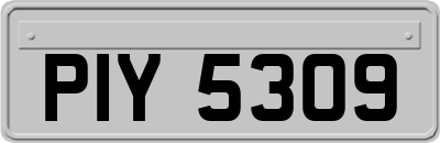 PIY5309