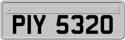 PIY5320