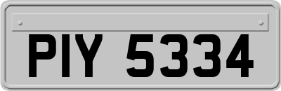 PIY5334