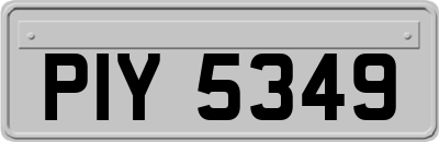 PIY5349