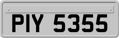 PIY5355