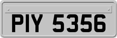 PIY5356