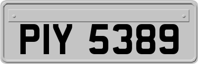 PIY5389