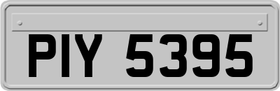 PIY5395