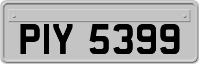 PIY5399