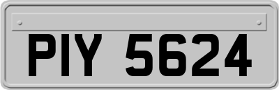 PIY5624