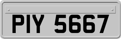 PIY5667