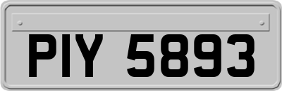 PIY5893