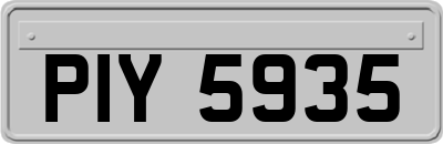 PIY5935