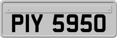 PIY5950