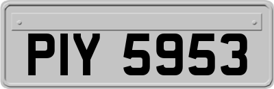 PIY5953