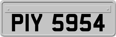 PIY5954