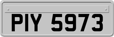 PIY5973