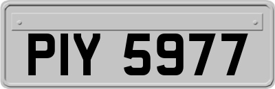 PIY5977