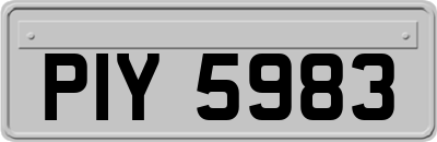 PIY5983