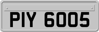 PIY6005